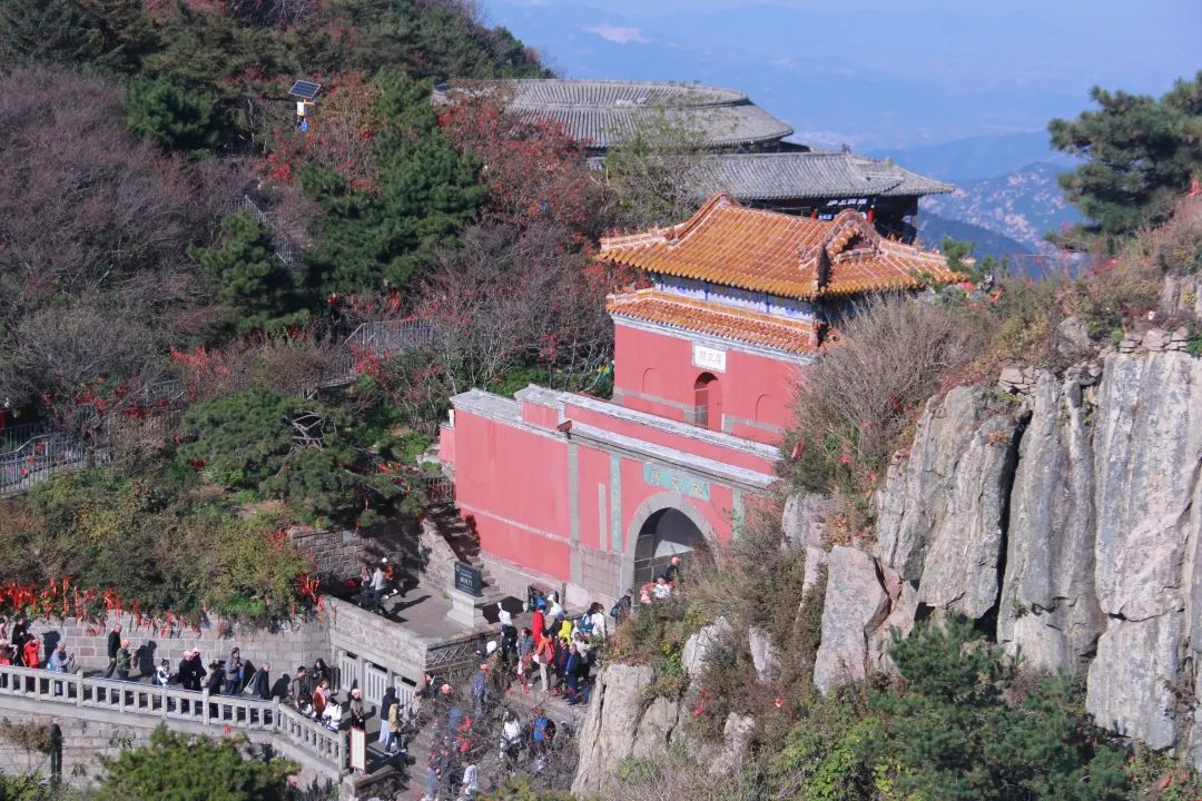 我們一起，頂峰相見 